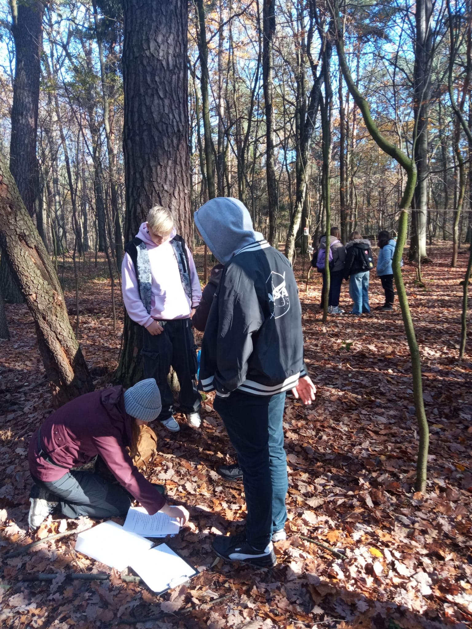 dzieci lasu 12.11 01