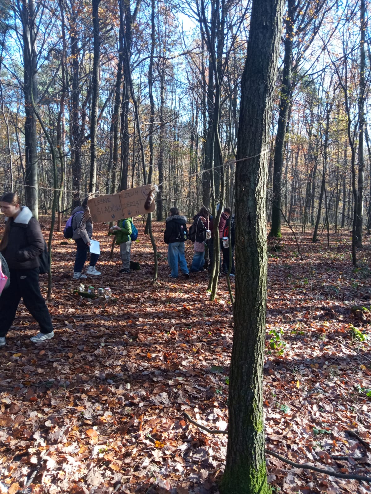 dzieci lasu 12.11 04